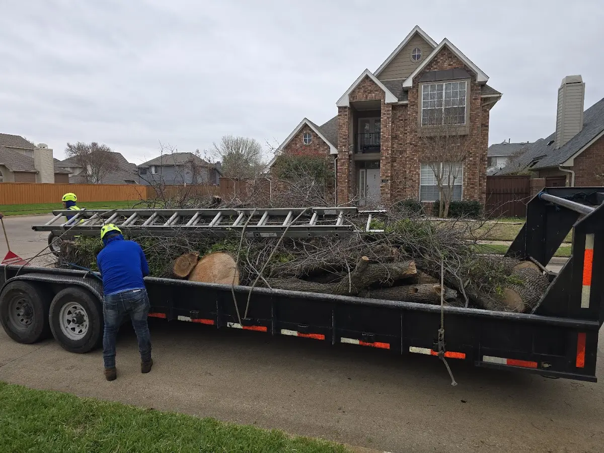 Expert Tree Fertilization with proper safety equipment in Pitkin